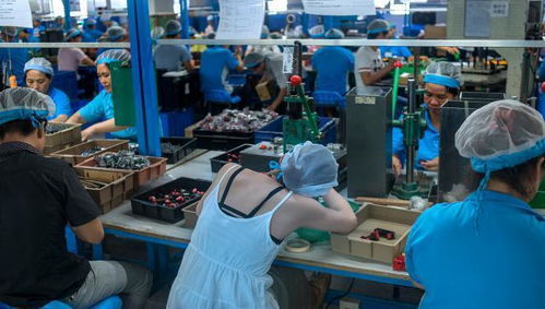 女性都在做什么工作 工厂不愿意去了,这些岗位越来越 吃香