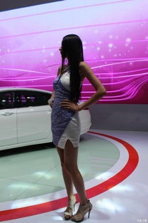 八月金城，风尚盛典 兰州女性与车展的美丽交响